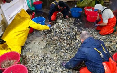 I PESCATORI A PROVA DI PANDEMIA