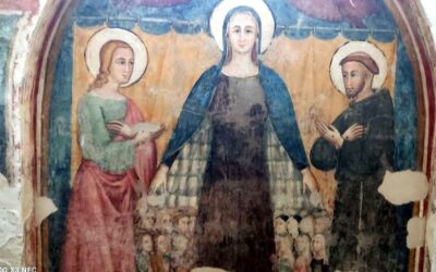 ESERCIZI DI SINODALITA