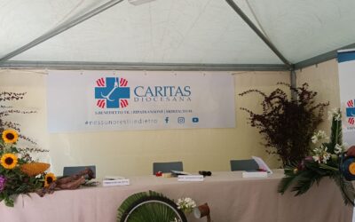INCONTRI VICARIALI DELLE CARITAS