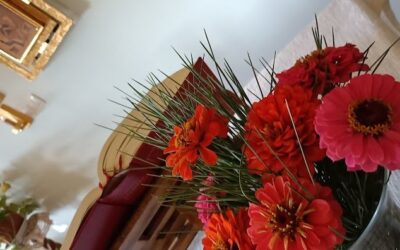 MANDATO AI MINISTRI STRAORDINARI DELLA COMUNIONE.