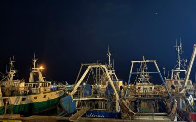 COME ACCOGLIERE QUESTA LUCE?