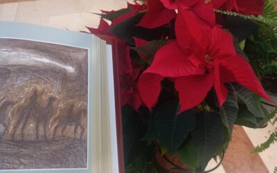 IL CORAGGIO DEI MAGI